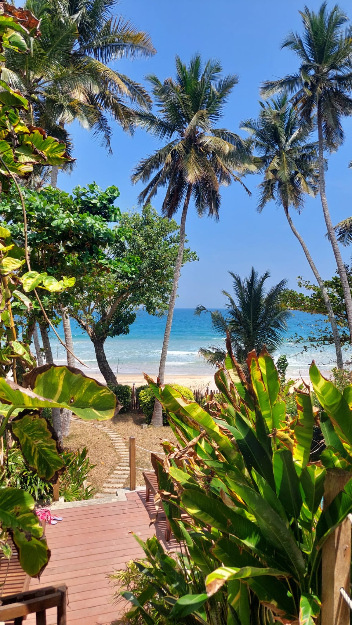 Spanda Institute - Yoga Teacher Training Sri Lanka