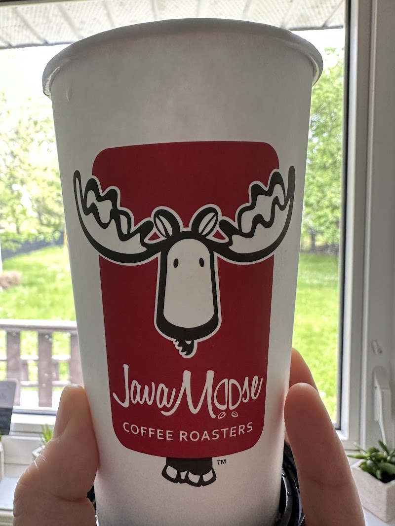 Java Moose photo 2