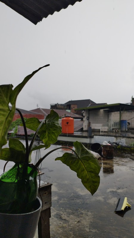 Kontrakan Sipil Unisma (Cemara Reborn)