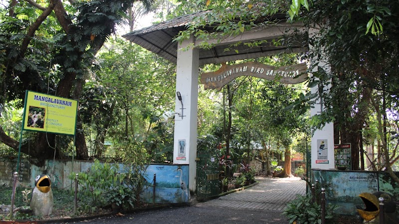 Mangalavanam Bird Sanctuary