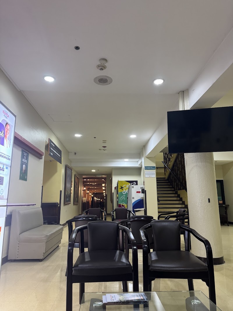 Gallery 5