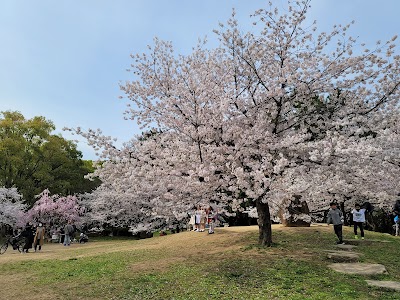 Nagai Park - 1