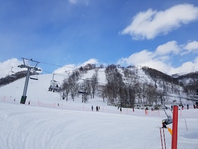 Niseko Annupuri Kokusai Ski Area - 1