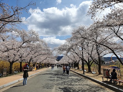 보문호수 산책로