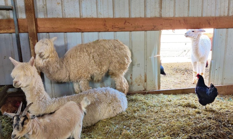 Dutson's Farm - Photo 4