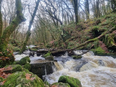 Golitha Falls National Nature Reserve