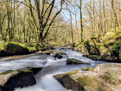 Golitha Falls National Nature Reserve