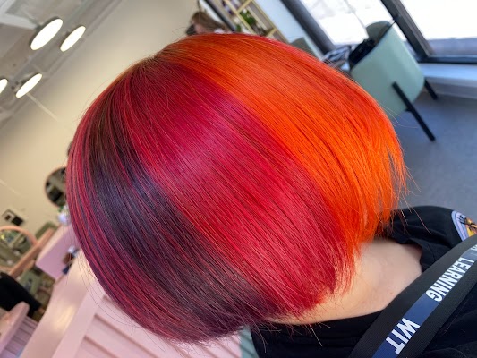 Alternative Hair Colour.Studio photo 3