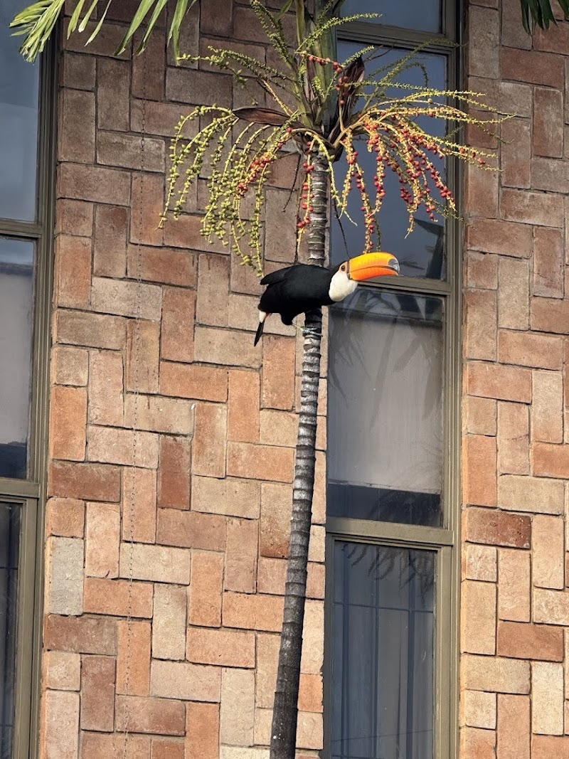 Abiclin Odontologia - foto 4