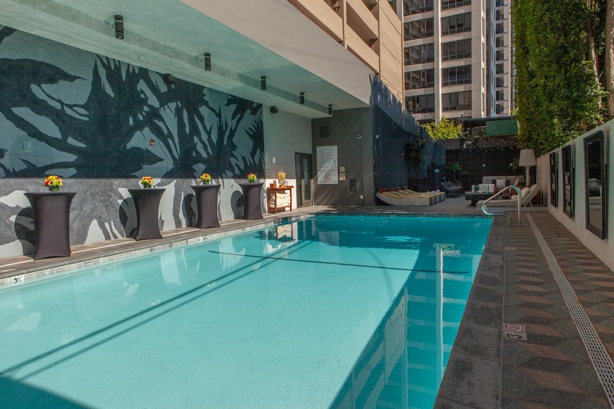 Kimpton Hotel Palomar Los Angeles Beverly Hills, dog-friendly hotel, photo 4
