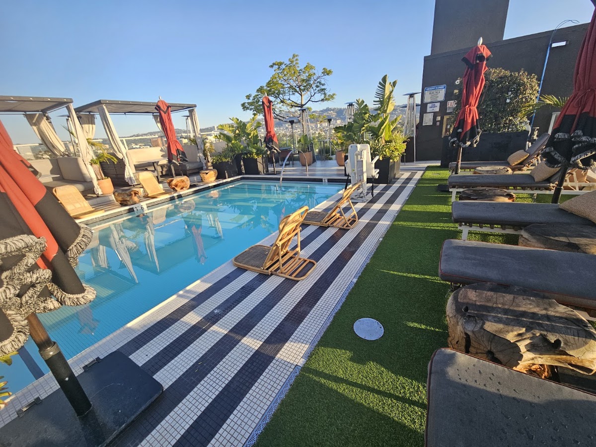 Kimpton Hotel Palomar Los Angeles Beverly Hills, dog-friendly hotel, photo 2
