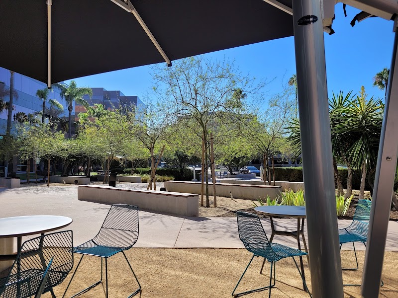 Stereoscope Coffee photo 1