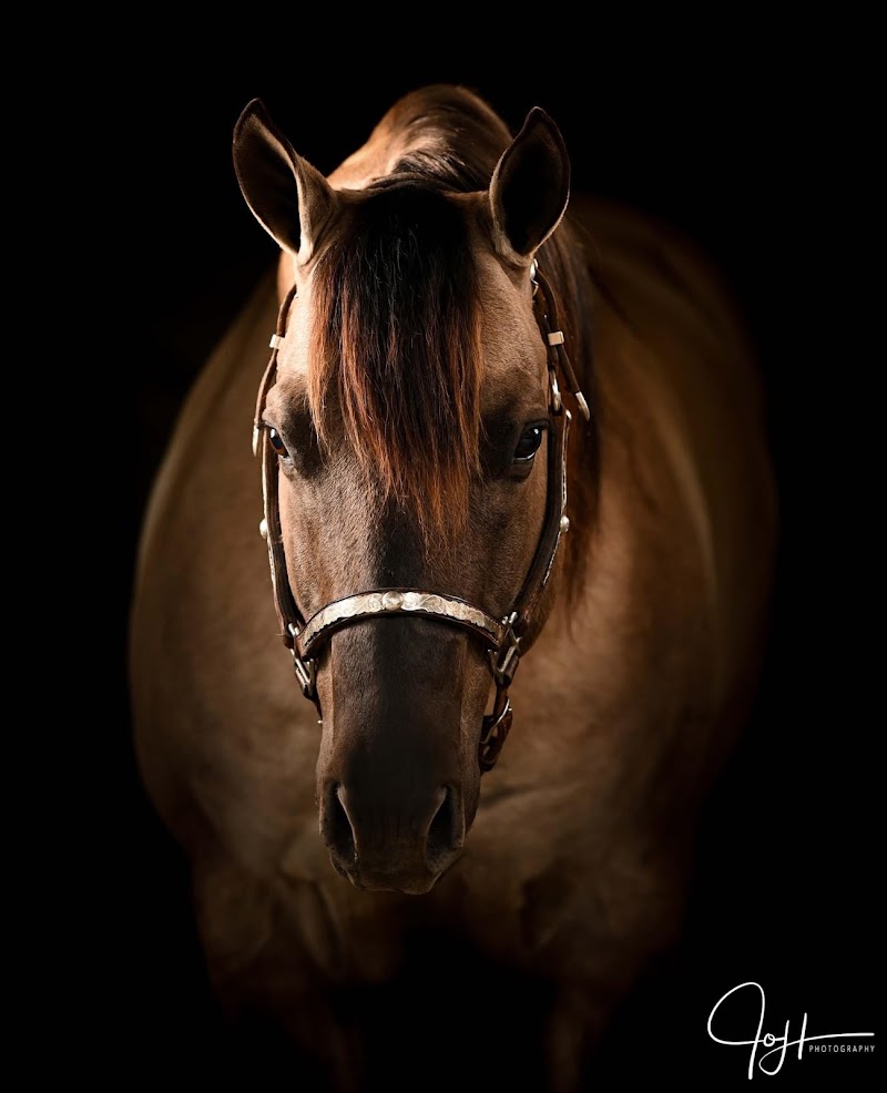 Corbett Creek Ranch - Photo 5