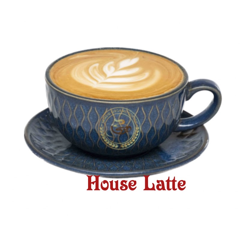 Mocha House photo 2
