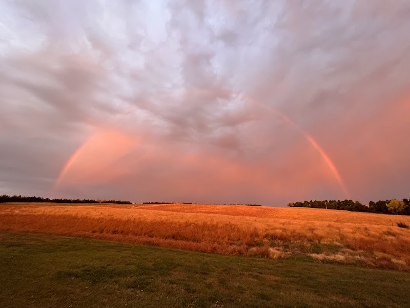 Circle H Ranch - Photo 5