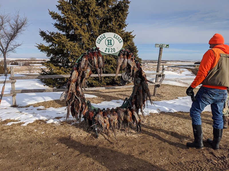 Circle H Ranch - Photo 1