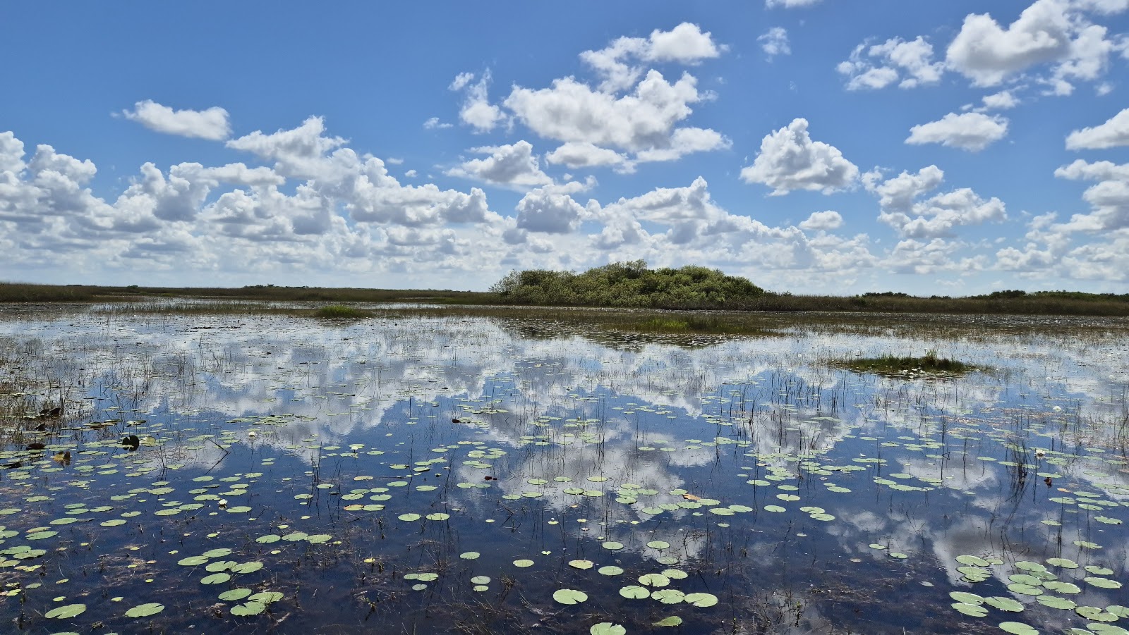 Down South Airboat tours