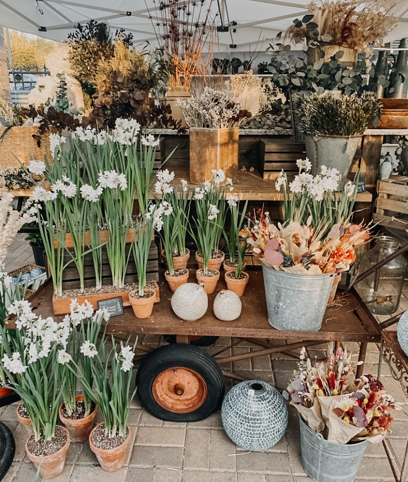 GRANGE GARDEN photo 3