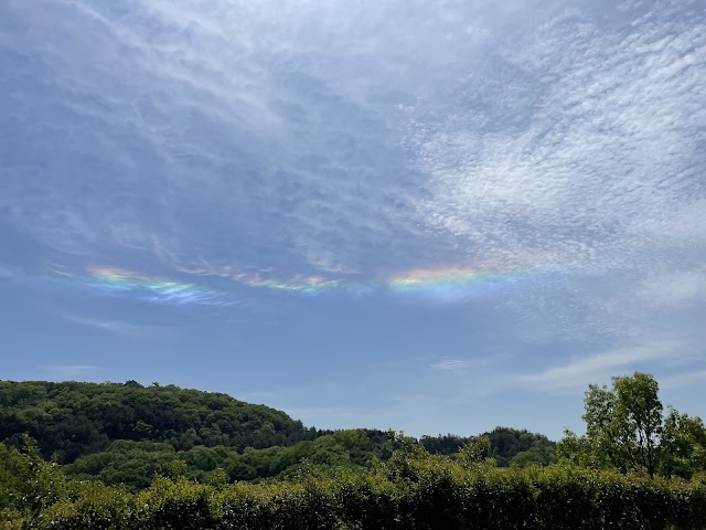Okayama Kinryo Country Club - Photo 9