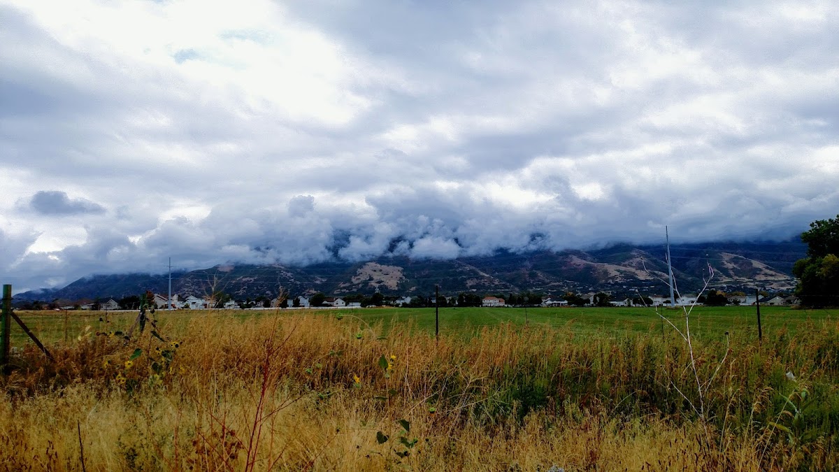 Seif's Cattle Ranch