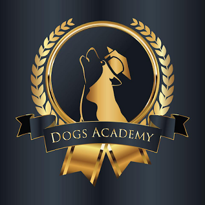 האקדמיה לכלבים