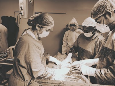 Dr Amandeep Kaur