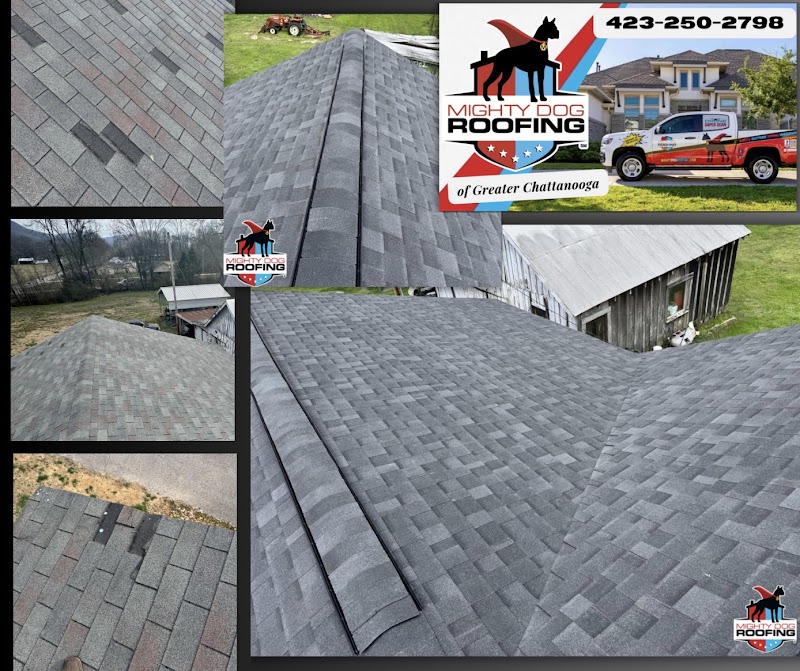 Mighty Dog Roofing of Greater Chattanooga photo 3