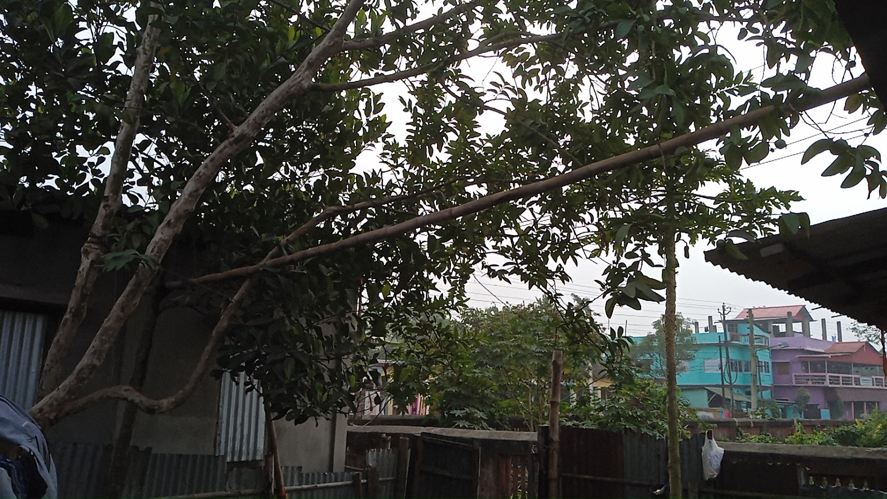 Ghar photo 3