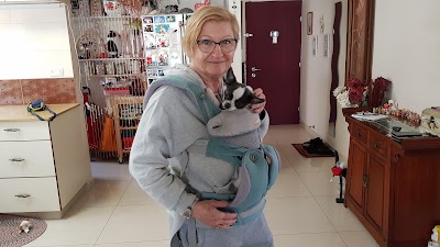 מיכה הראל, יהודה פרידמן, וטרינרים