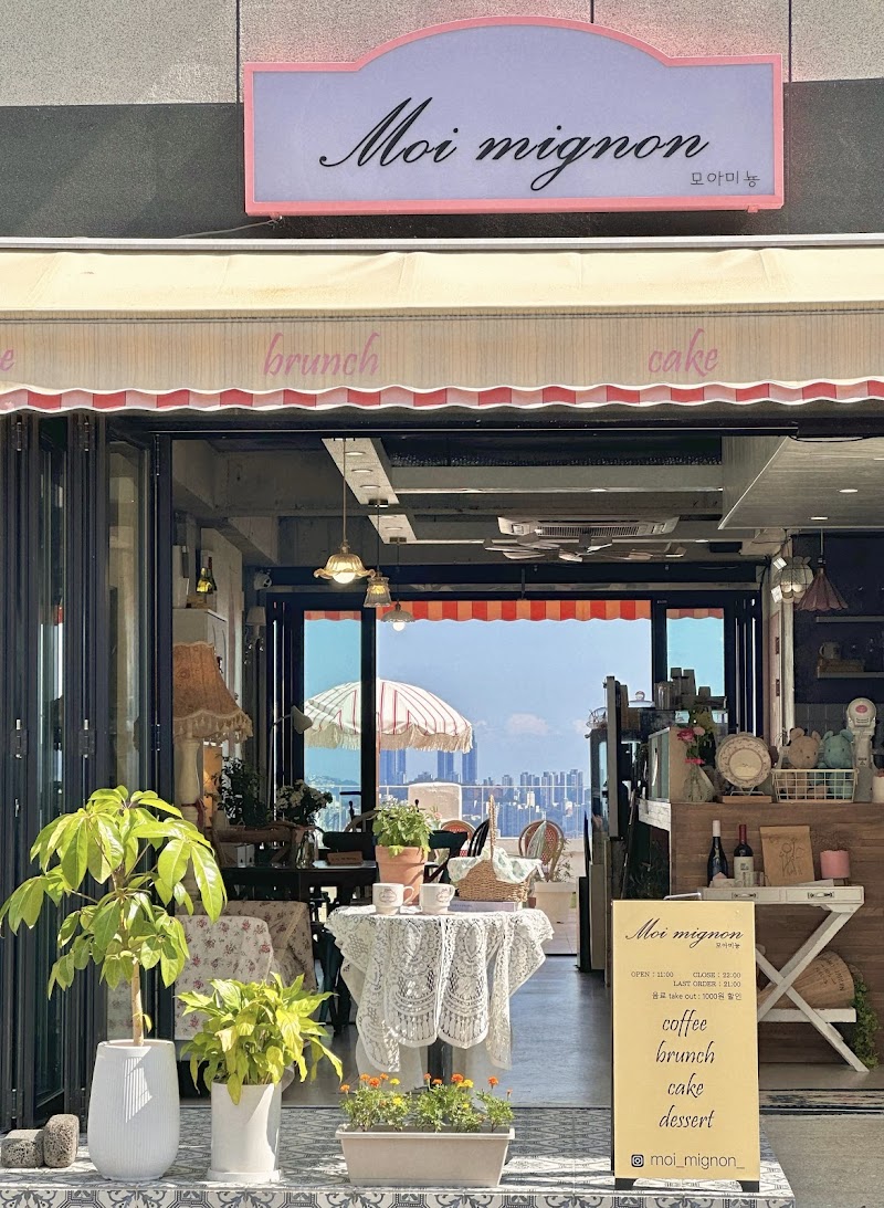 모아미뇽 사진 4