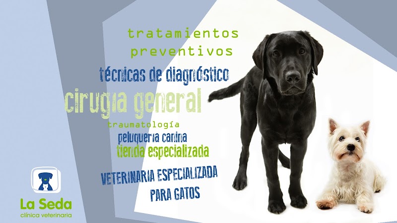 Medivet Clínica Veterinaria La Seda Lorca