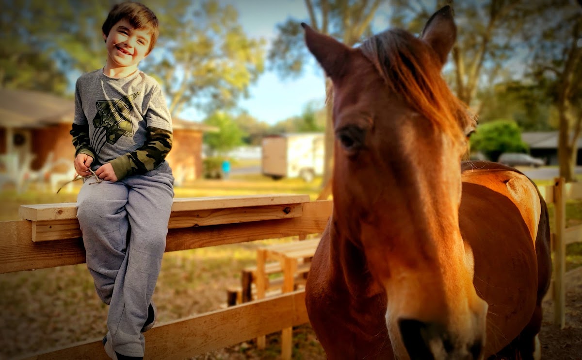 Puzzle Ranch Florida