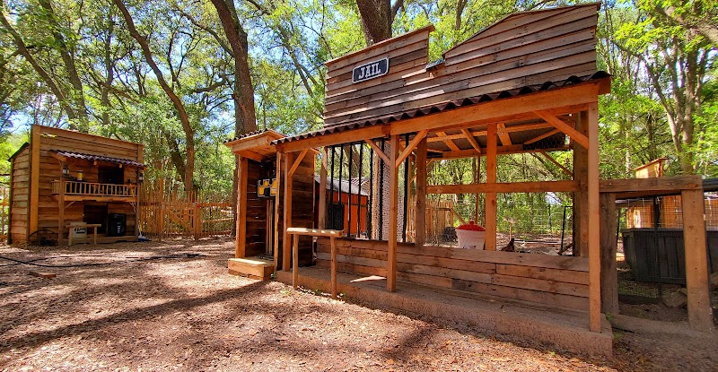 Puzzle Ranch Florida - Photo 2