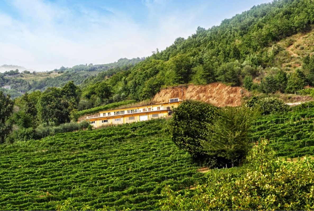 Cantina Sanpaolo di Claudio Quarta