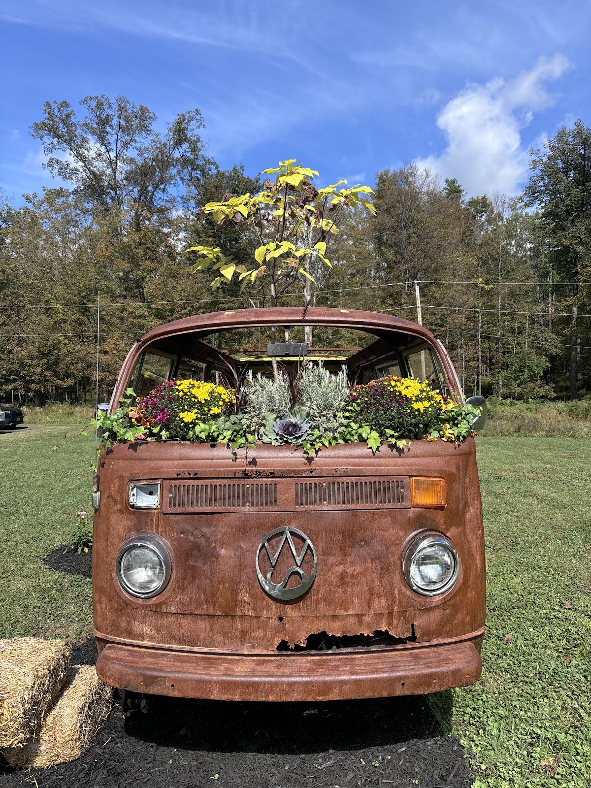 Woodstock spa — 4