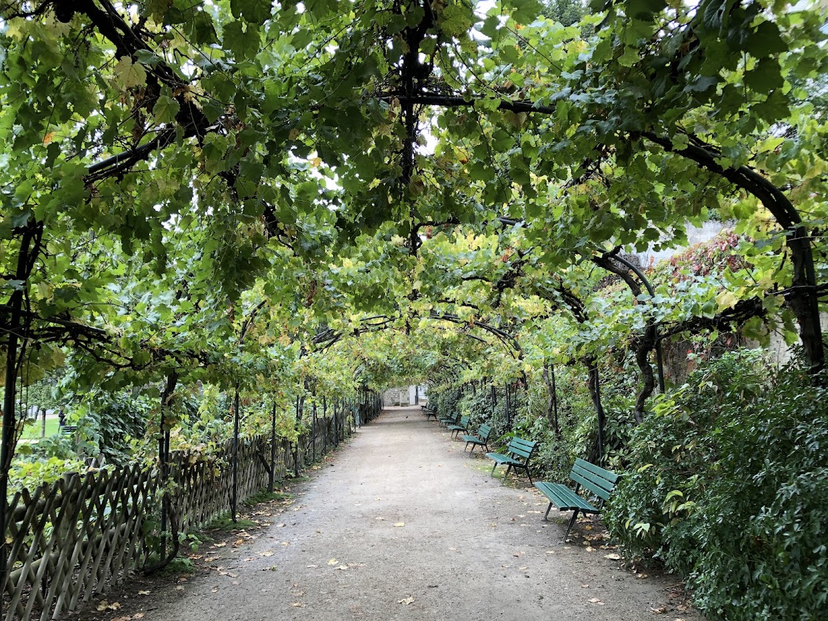 Jardin Catherine-Labouré