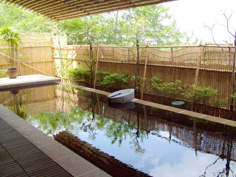 成田の命泉 大和の湯