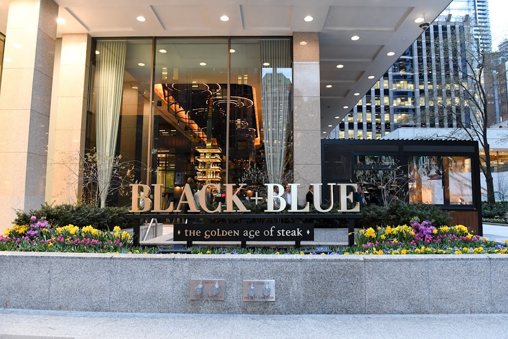 Black+Blue Toronto fotoğraf 1