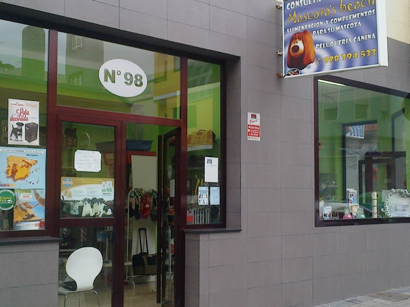 Consulta Veterinaria Mascota's Beach