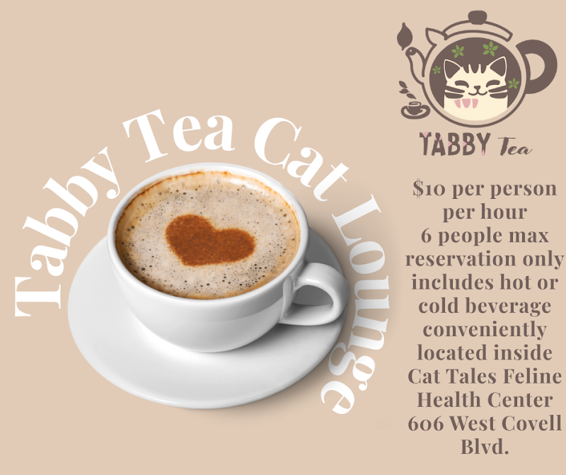 Tabby Tea Cat Lounge & Adoption Center
