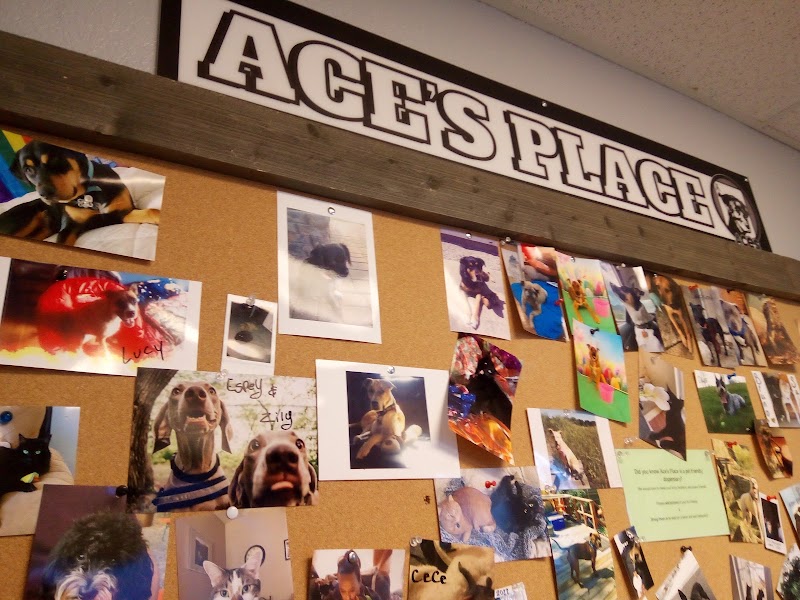 Video tour of Ace's Place retail environment