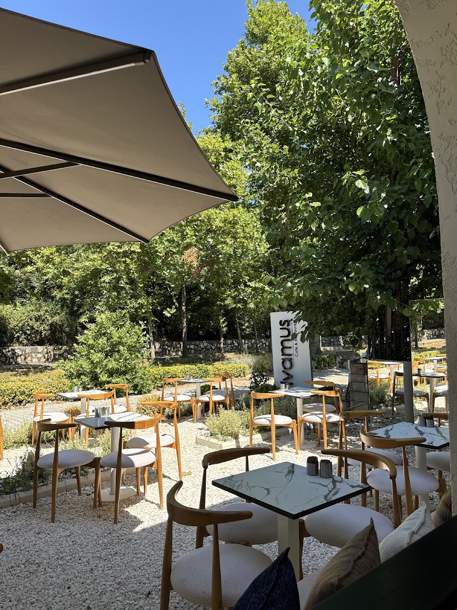 Vivamus Cafe&Restaurant