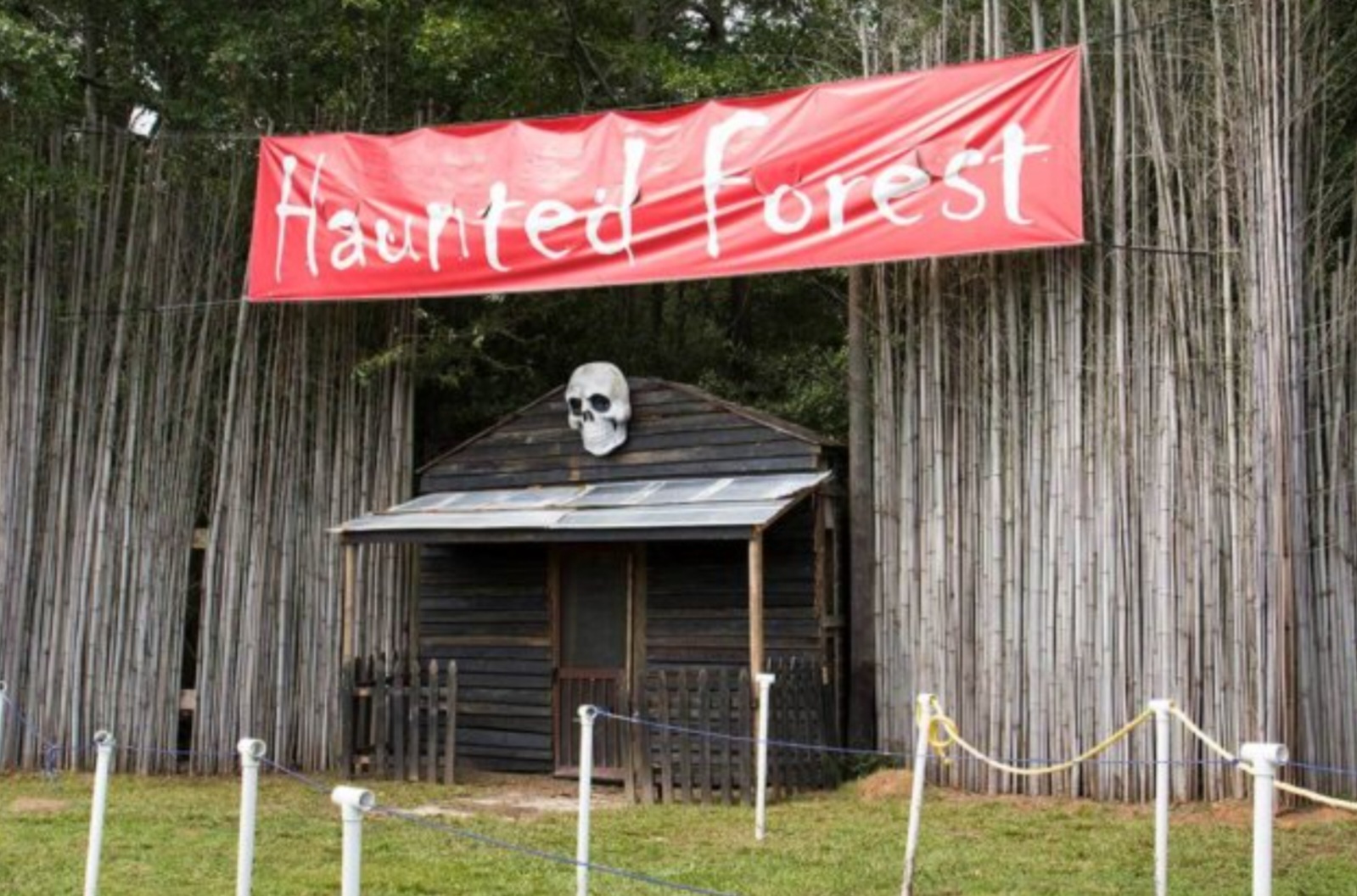 Buford Corn Maze
