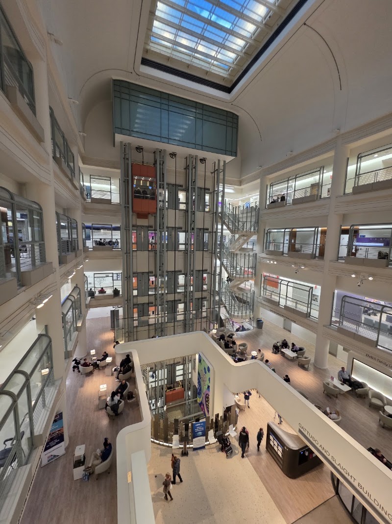 Gallery 1