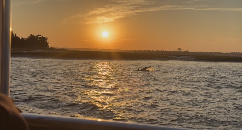 Wrightsville Beach Scenic Boat Tours