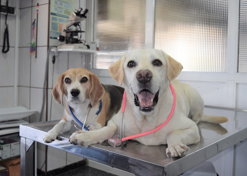 Clínica Veterinaria Escaleritas