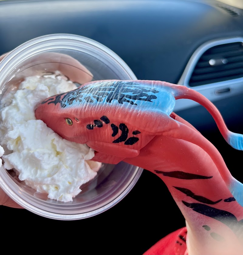 Ellianos Coffee - Tifton, GA photo 4