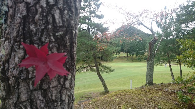 Hiroshima Momiji Country Club - Photo 9