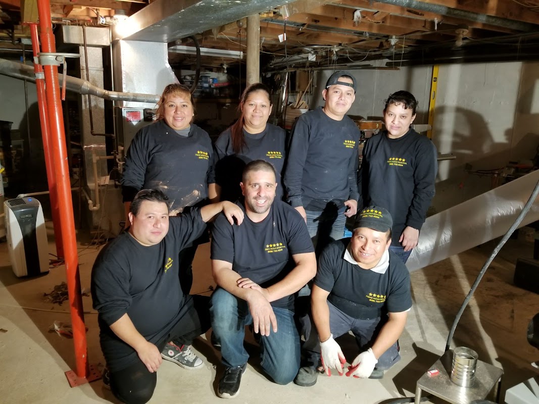 Prime Mold Removal Brooklyn — photo