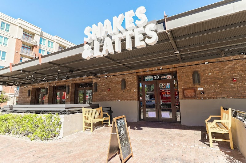Snakes & Lattes Tempe photo 1